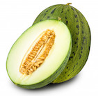 melon-piel-de-sapo