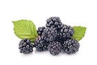moras-en-bandeja