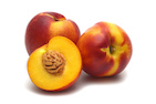 nectarina-t24