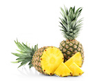 piña-del-monte 