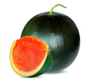 sandia-fashion