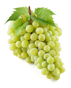uvas-de-mesa-blancas