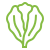 icono lechuga