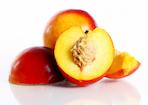 nectarina